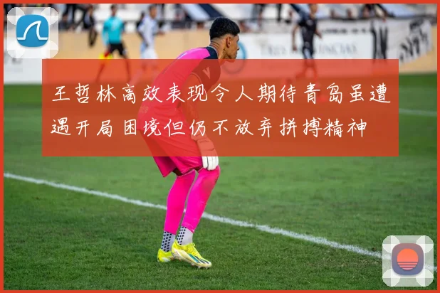王哲林高效表现令人期待青岛虽遭遇开局困境但仍不放弃拼搏精神