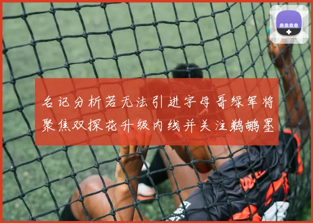 名记分析若无法引进字母哥绿军将聚焦双探花升级内线并关注鹈鹕墨菲