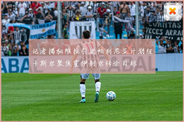 记者揭秘维拉引进帕利尼亚计划纽卡斯尔聚焦霍伊别尔转会目标