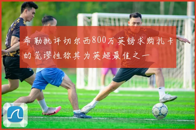 希勒批评切尔西800万英镑求购扎卡的荒谬性称其为英超最佳之一