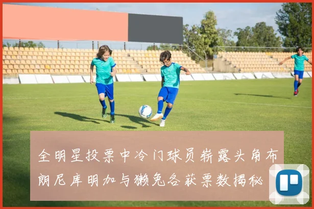 全明星投票中冷门球员崭露头角布朗尼库明加与獭兔各获票数揭秘